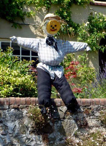scarecrowat51.jpg